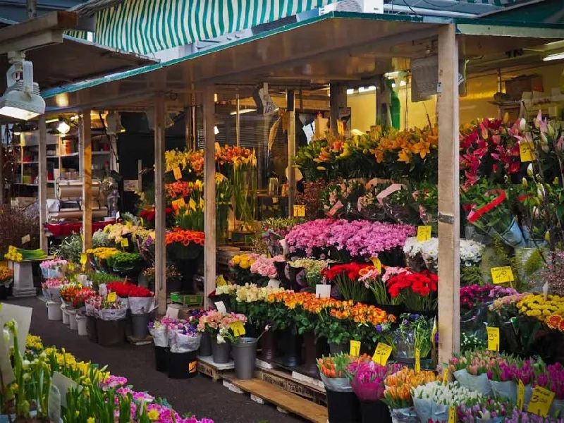 ویژگی های کانکس گل فروشی